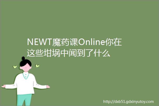 NEWT魔药课Online你在这些坩埚中闻到了什么