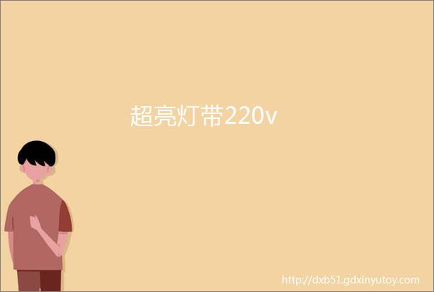 超亮灯带220v