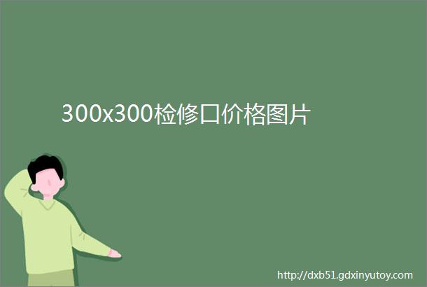 300x300检修口价格图片